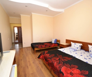 Стандарт 1 комнатный 3-х местный с балконом 