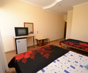 Стандарт 1 комнатный 3-х местный с балконом 