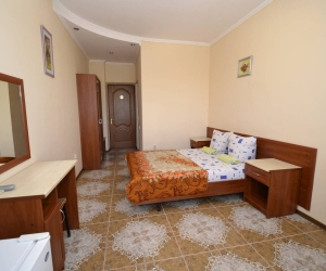 Стандарт 1-комнатный 2-х местный с балконом