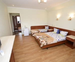 Стандарт 1 комнатный 3-х местный с балконом 