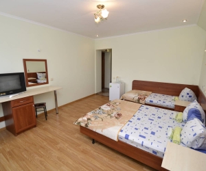 Стандарт 1 комнатный 3-х местный с балконом 